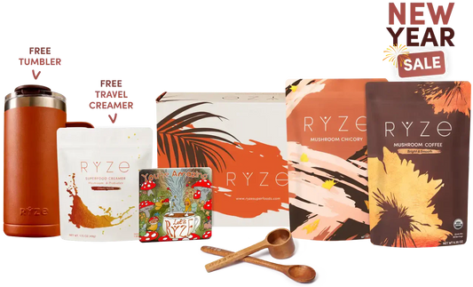 Lasting Energy Bundle Signature M6B29