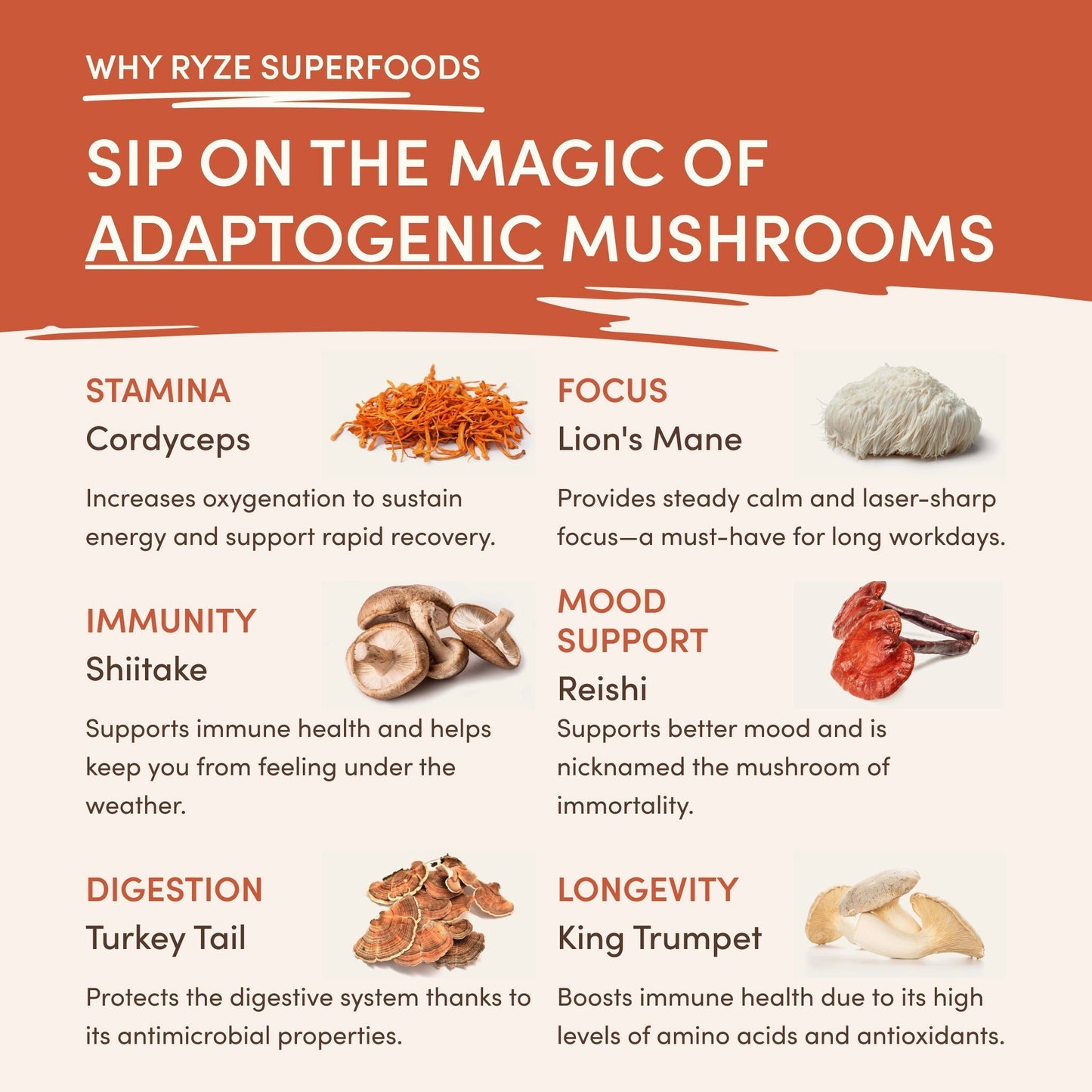 Superfood Creamer Daily M6B46