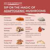 Mushroom Chai Daily M6B79